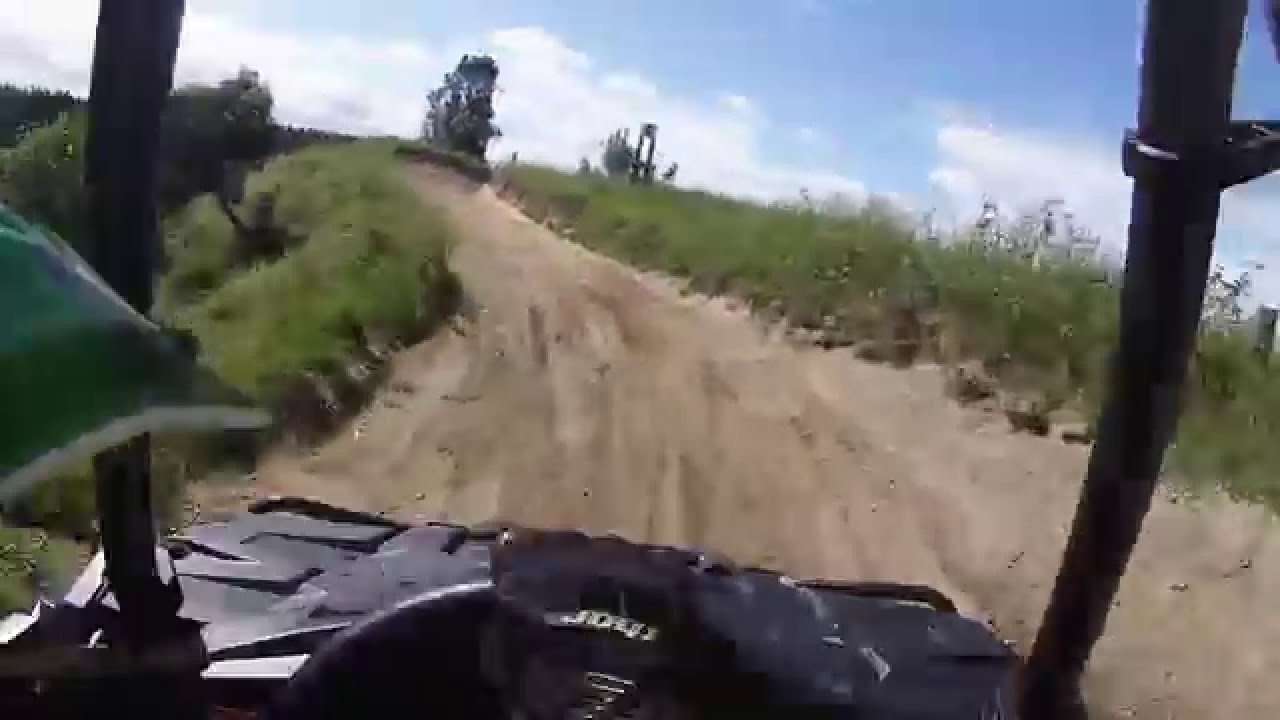 Polaris Ace 900 Pirini