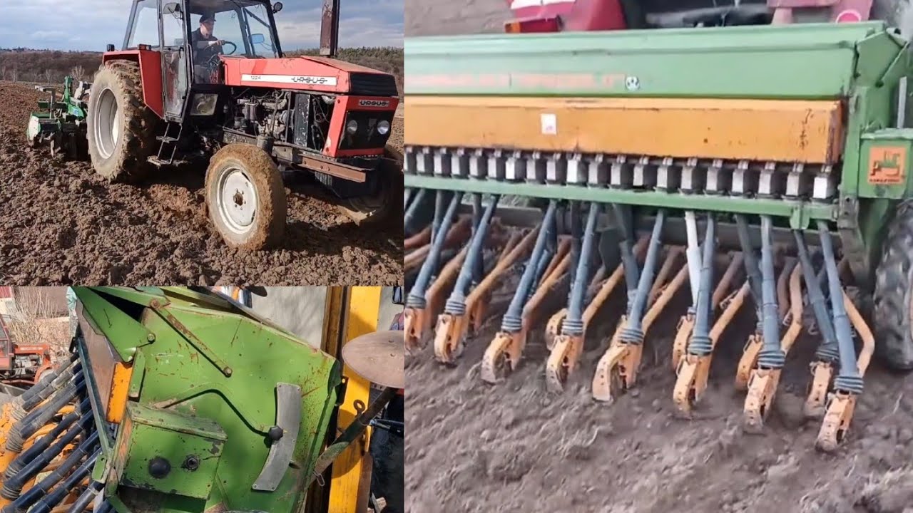 Nowy nabytek: amazone d7 special II nawożenie uprawa i siew owsa Ursus 1201 ładnie mruczy #rolnictwo