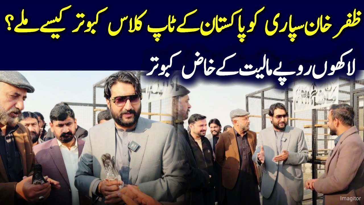 Zafar Khan Supari Latest Video - Expensive pigeons Gifted To Zafar Supari 2026 