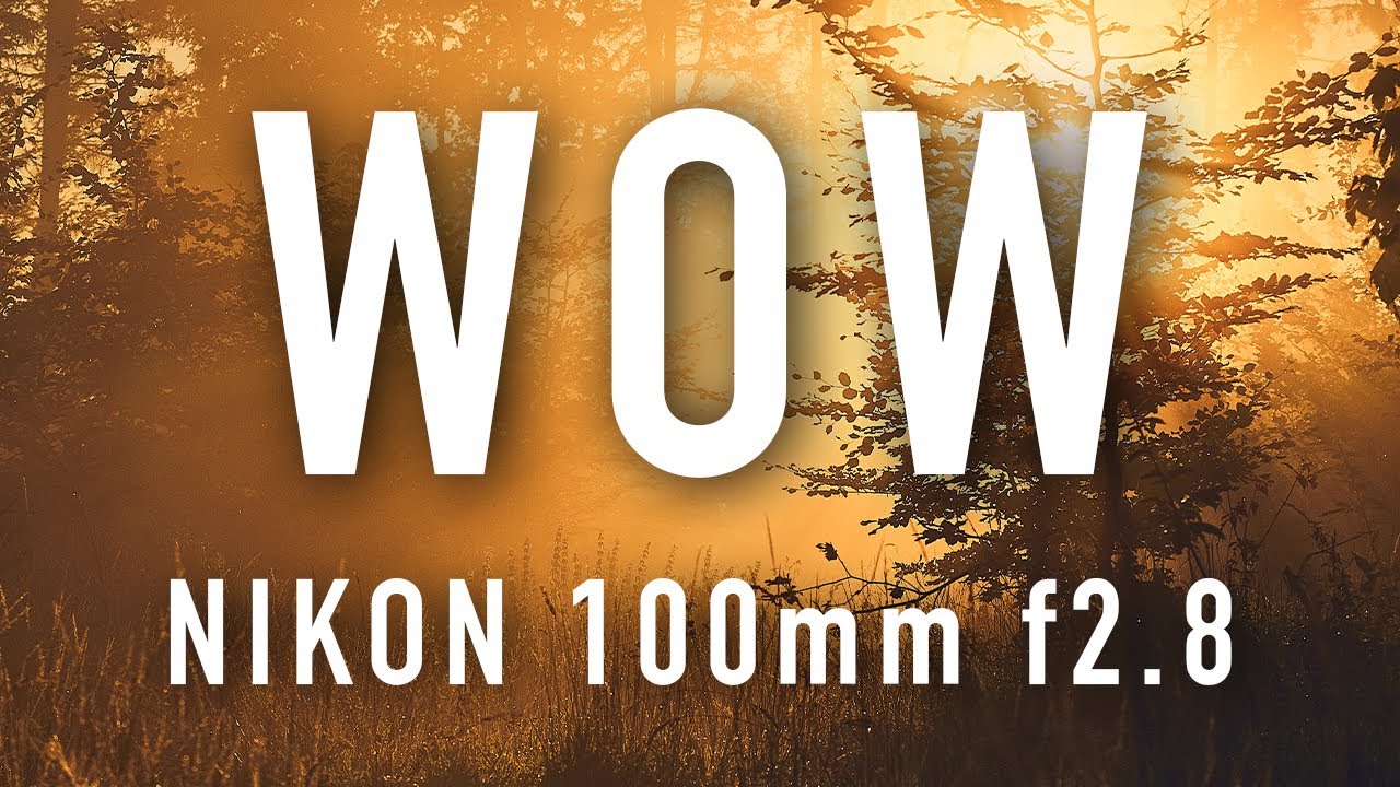 Nikon 100mm f2.8 - Lens Series E. Kleines Objektiv, geniale Leistung?