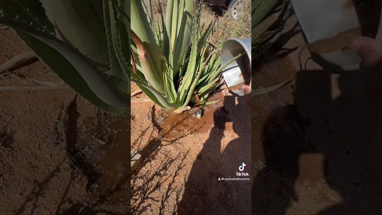 معاميل تراث 