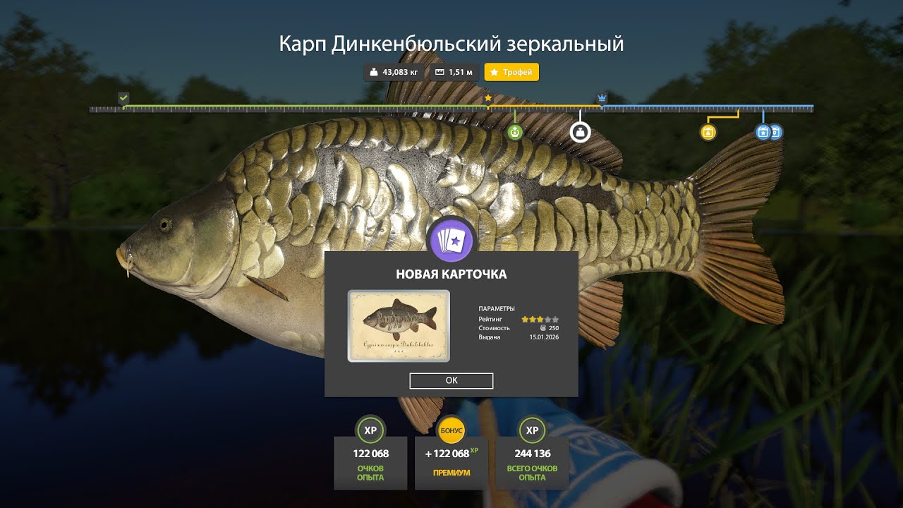 Очередной трофейный 43,083кг Карп Динкенбюльский зеркальный. Русская рыбалка 4