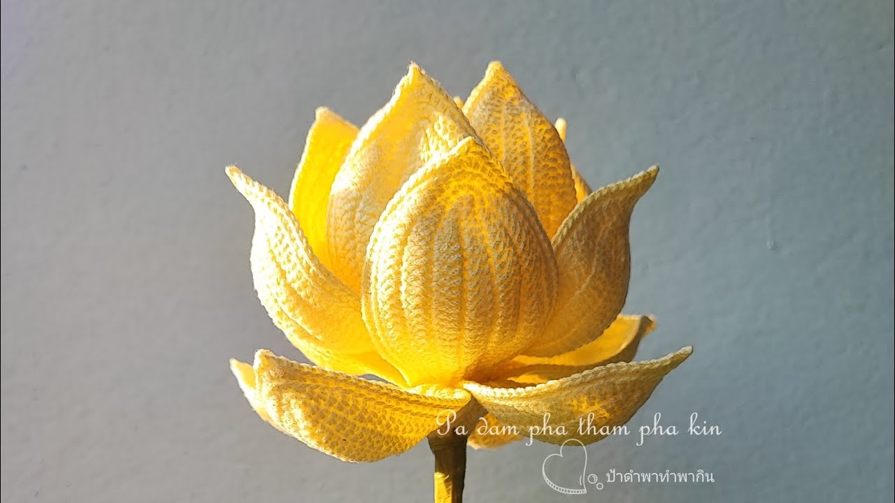 ดอกบัวโครเชต์ ,วิธีถักกลีบดอกบัวโครเชต์ How to crochet