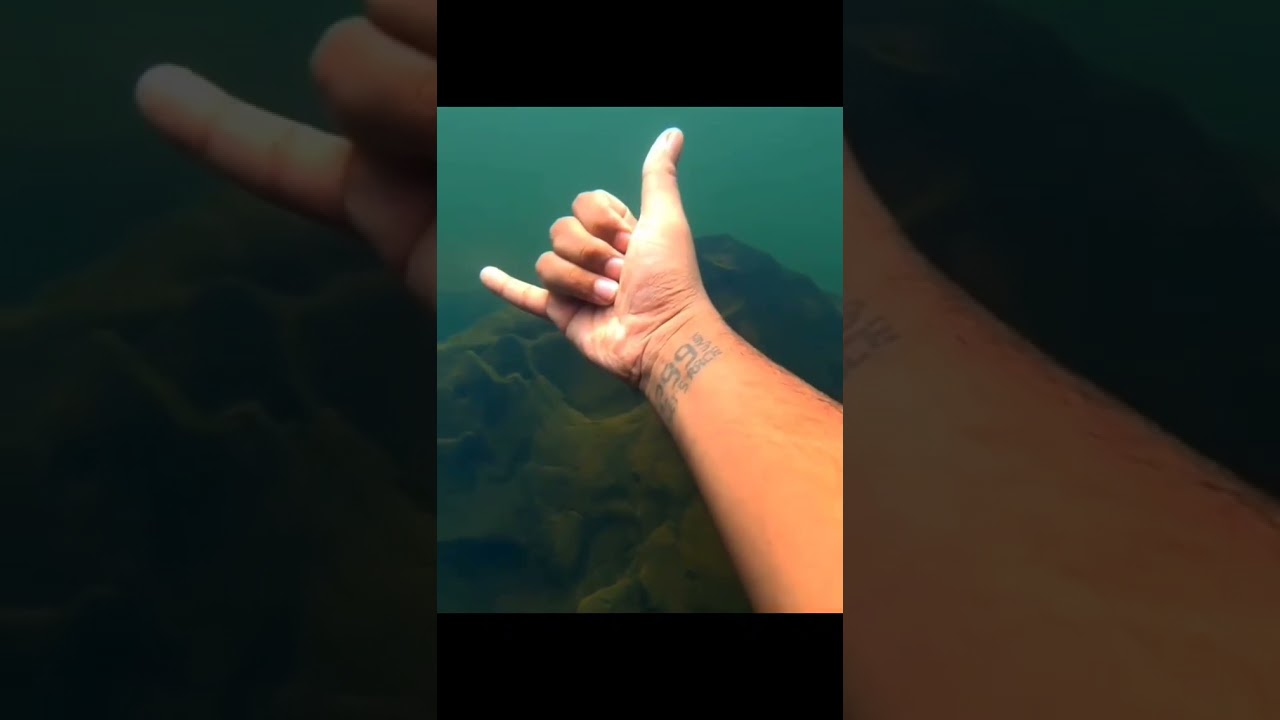 feel It Water Hads well
