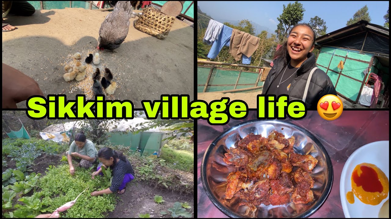 Simple life Village life ❣️Full village Energy 