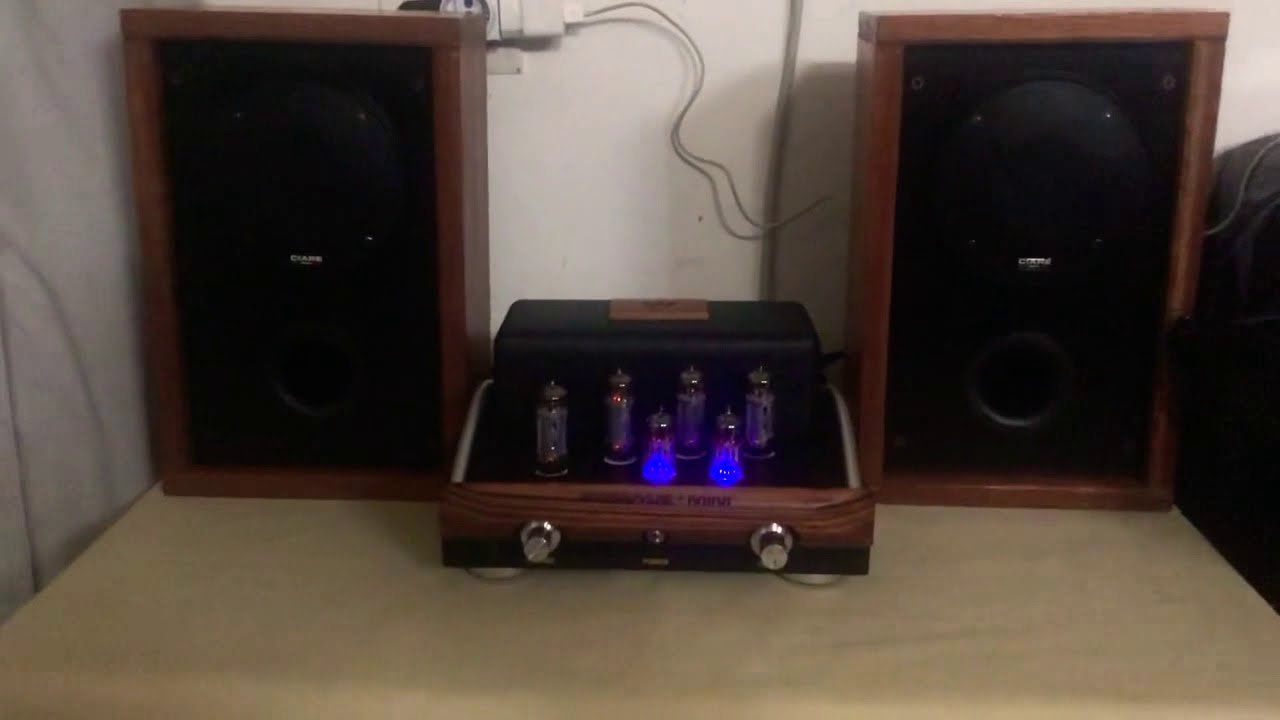 Amplificatore valvole Mengyue Mini + diffusori monovia autocostruiti