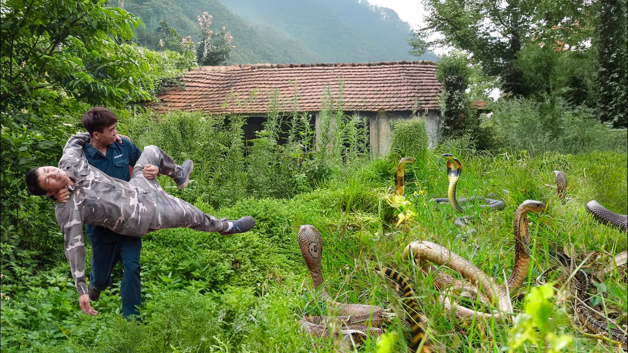 2 brave hunters confront a giant ferocious cobra in an abandoned house. Clean up Abandoned House