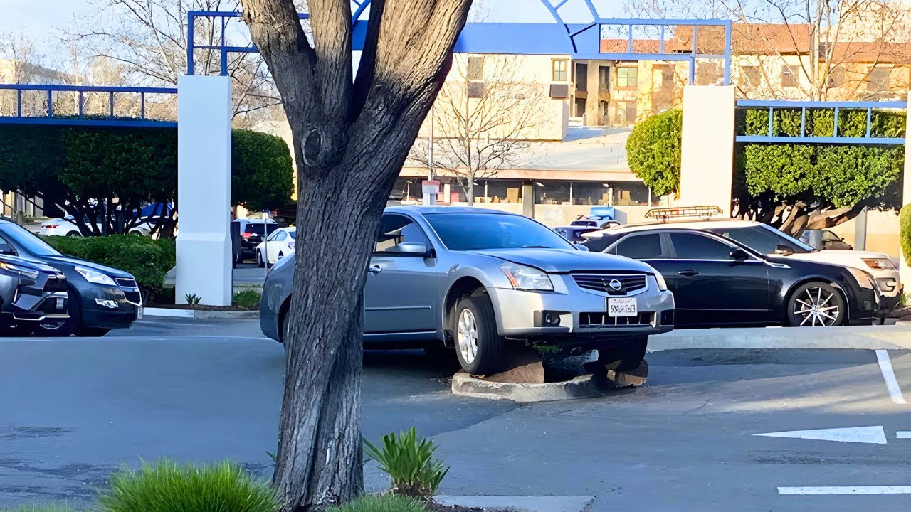 Idiots In Cars 357