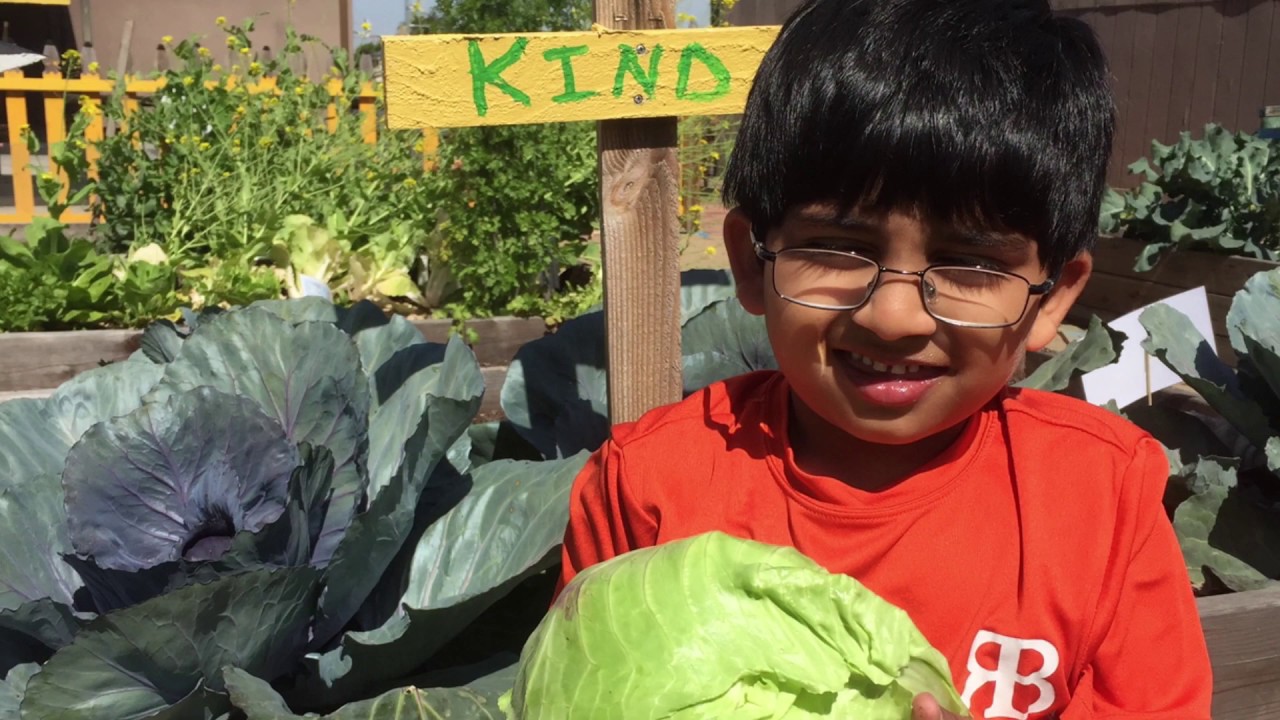 Poway School Gardens