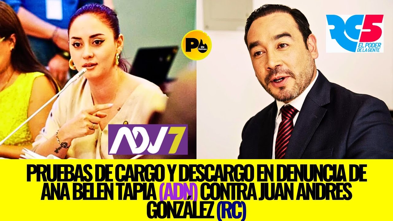 Pruebas de Cargo y Descargo en denuncia de Ana Belén Tapia (ADN) contra Juan Andrés González (RC)