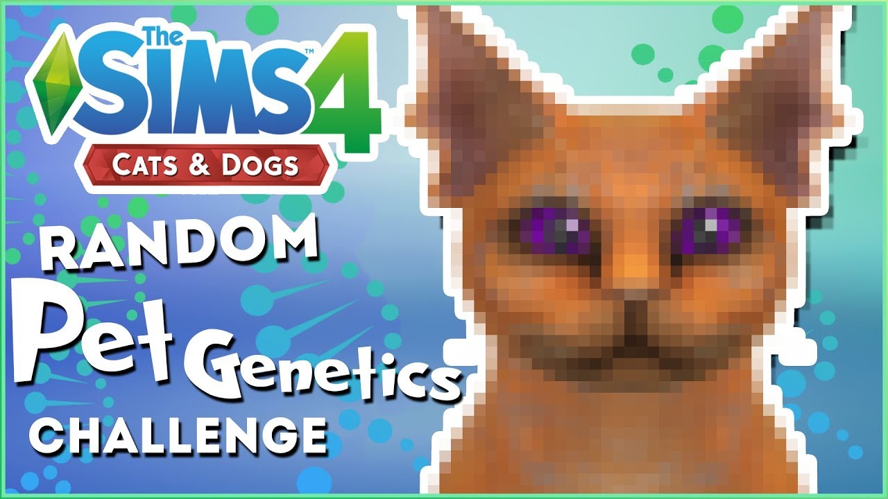 Mermaid Koi Fish Cat?! 🎲 Random Pet Genetics Challenge!!