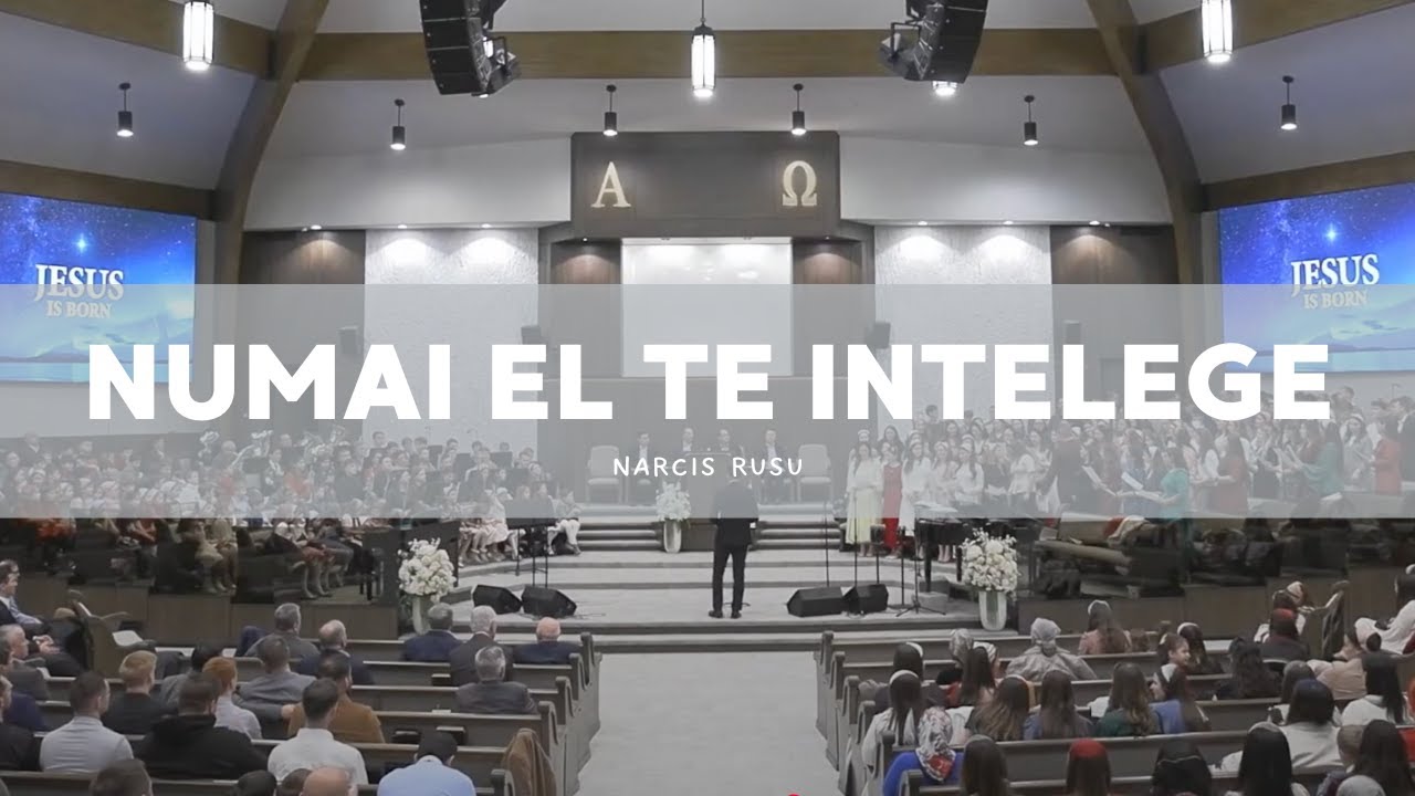 Narcis Rusu - Numai El Te Intelege