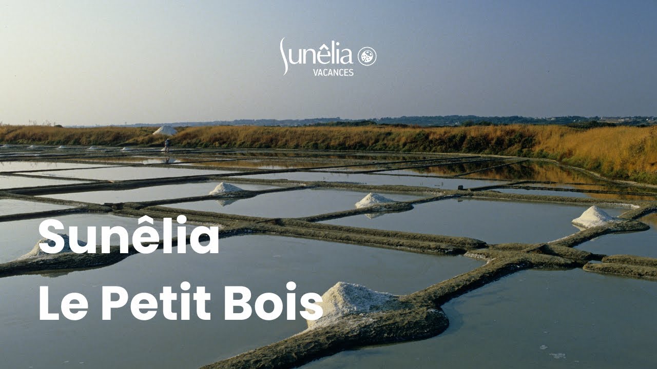 Camping Sunêlia Le Petit Bois 4 étoiles | Loire-Atlantique