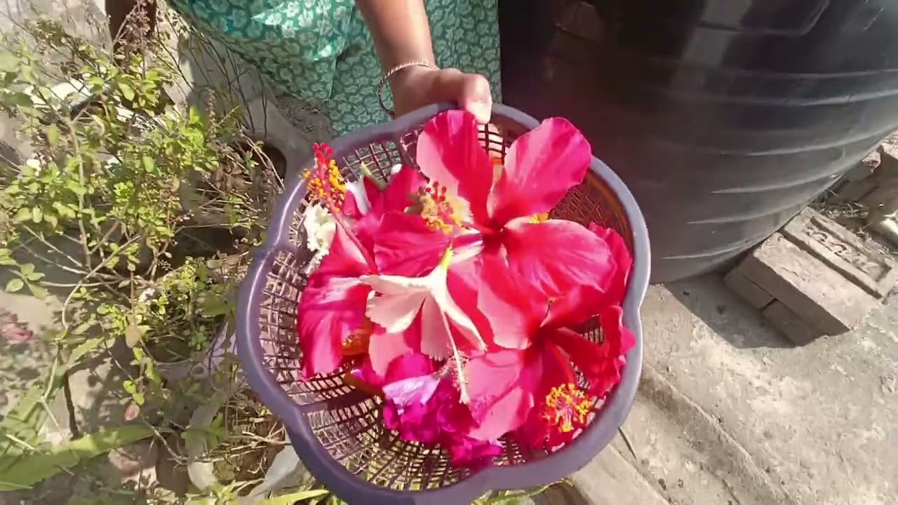 এইভাবেই গার্ডেনে কাটানো ভ্যালেন্টাইনস ডে হয়ে রইল হৃদয়ের এক সুন্দর অধ্যায়। 💖🌸