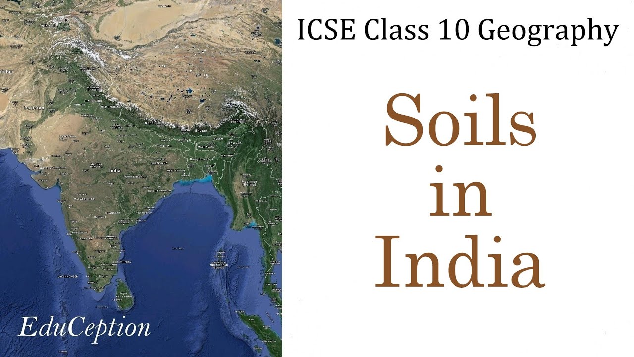 SOILS IN INDIA | ICSE Class 10 Geography