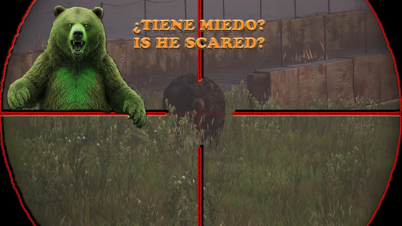 DayZ - PUNISHER PVE - Día/Day 16 - ÚLTIMOS COMBATES CON BOTS/LAST COMBATS WITH BOTS 🔫