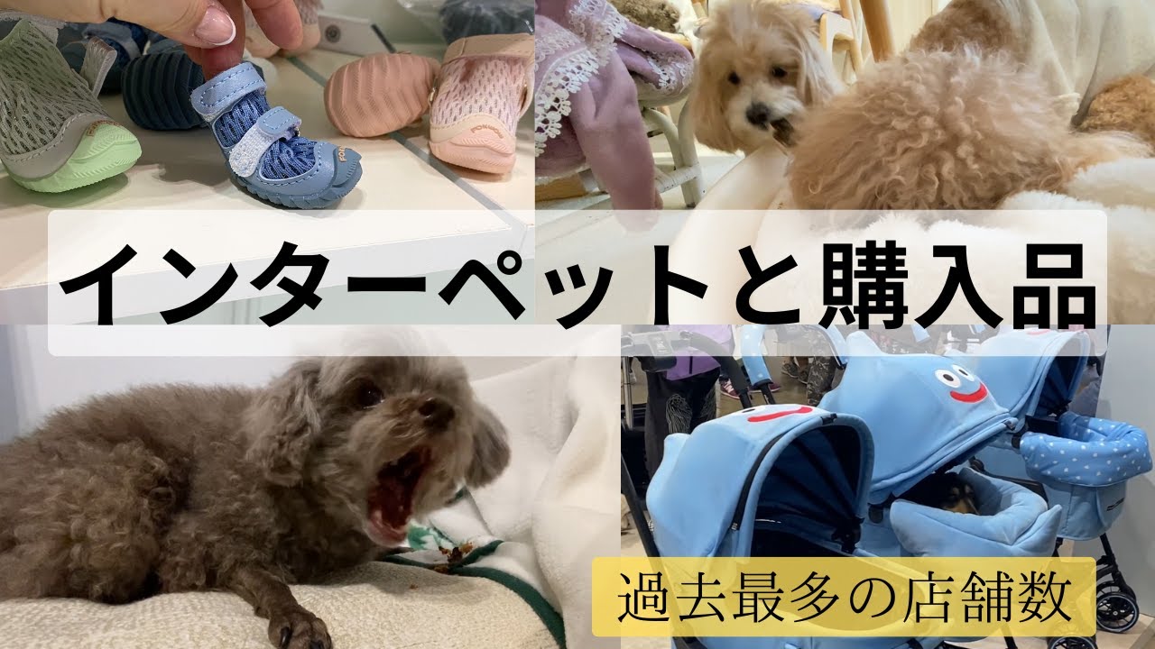 【インターペット２０２５】購入品