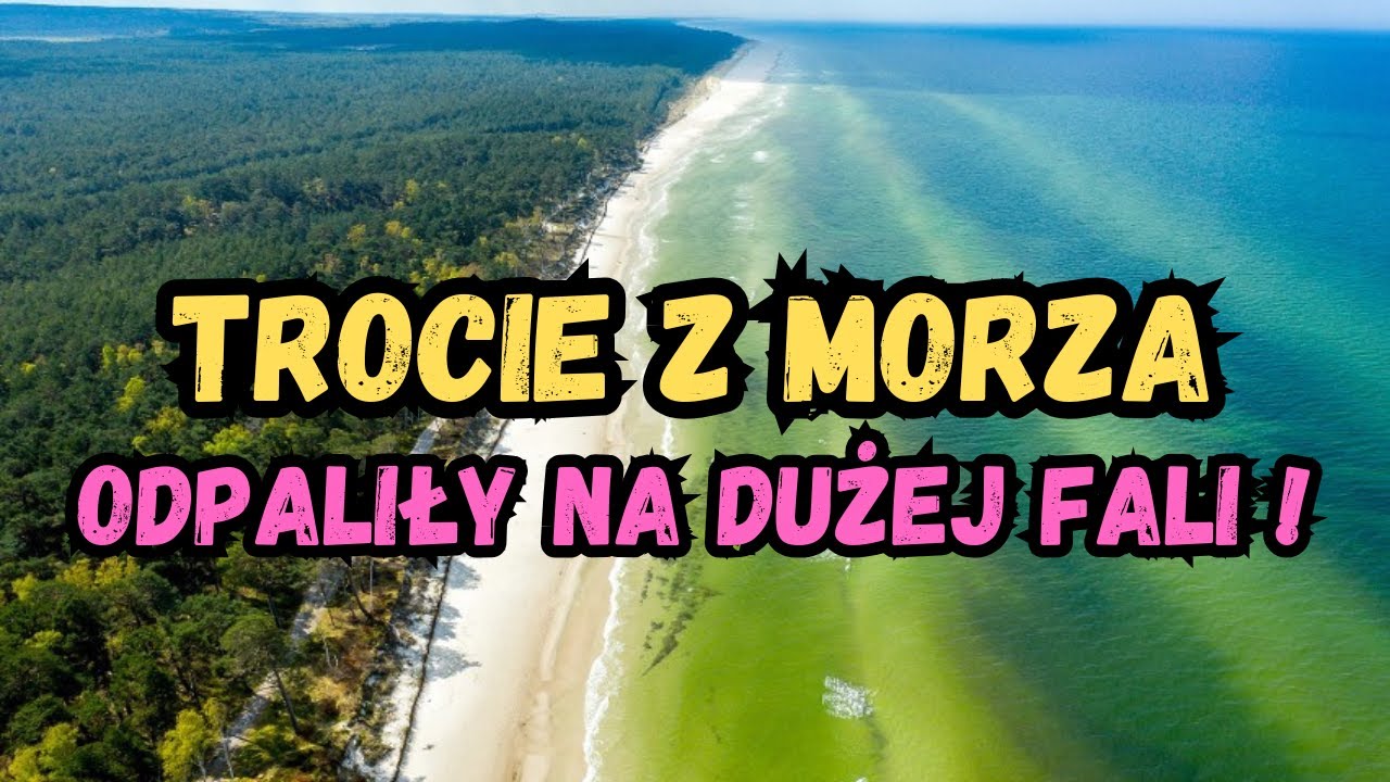 ŁOWIMY MORSKIE TROCIE Z BRZEGU W GRUDNIU. BAŁTYK PRZYWITAŁ NAS DUŻA FALĄ.