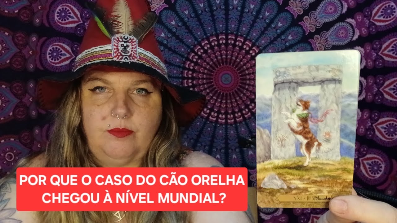 🐕👂ACABEI DE VER NO TAROT E SAIU ISSO....