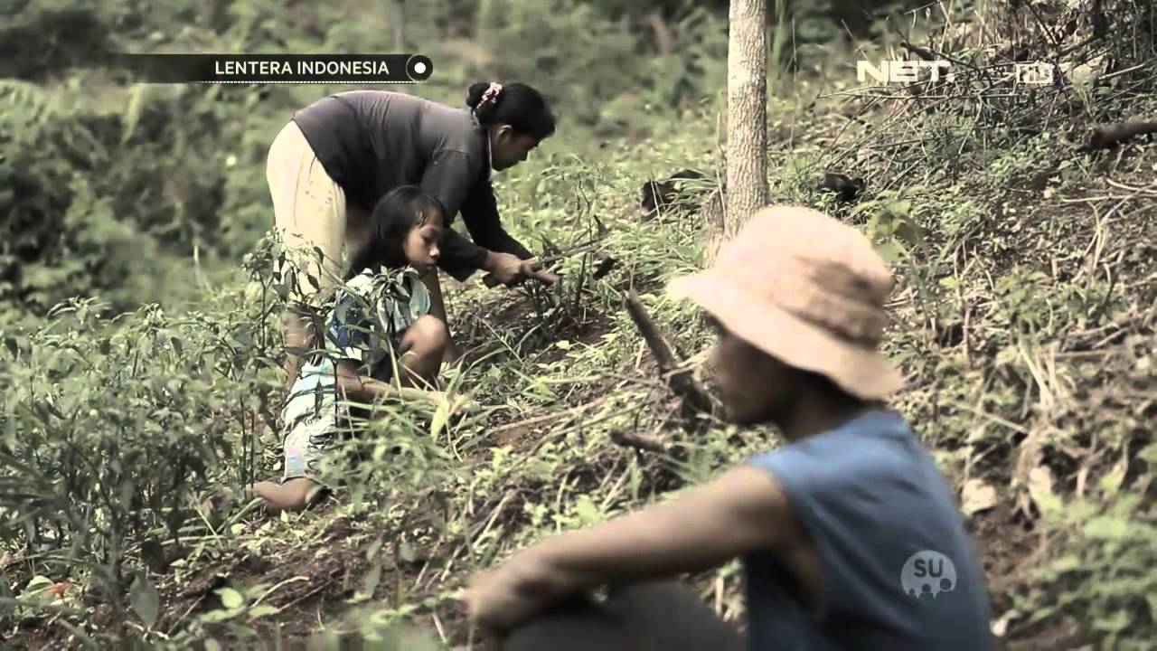 Lentera Indonesia - Pengejar Mimpi di Bumi Petani - Danil Gusrianto