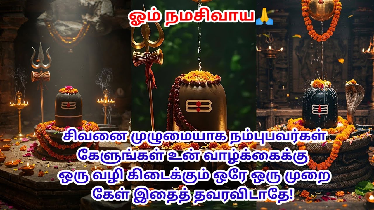 உன் வாழ்க்கைக்கு ஒரு வழி கிடைக்கும் இதைக் கேள்🔱#haraharamahadev #mahadev #godmotivation #god 