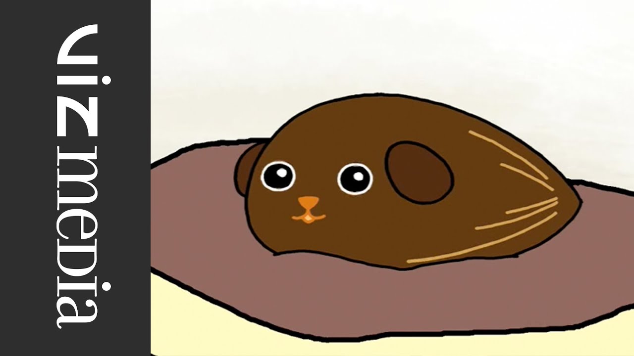 Mameshiba 20 - Cocoa Bean [with English annotations]