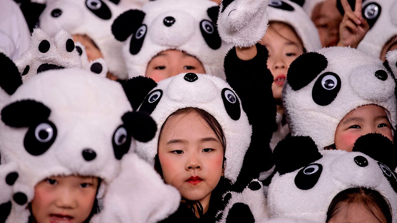 After lifting the one-child policy, why isn't China experiencing a baby boom?
