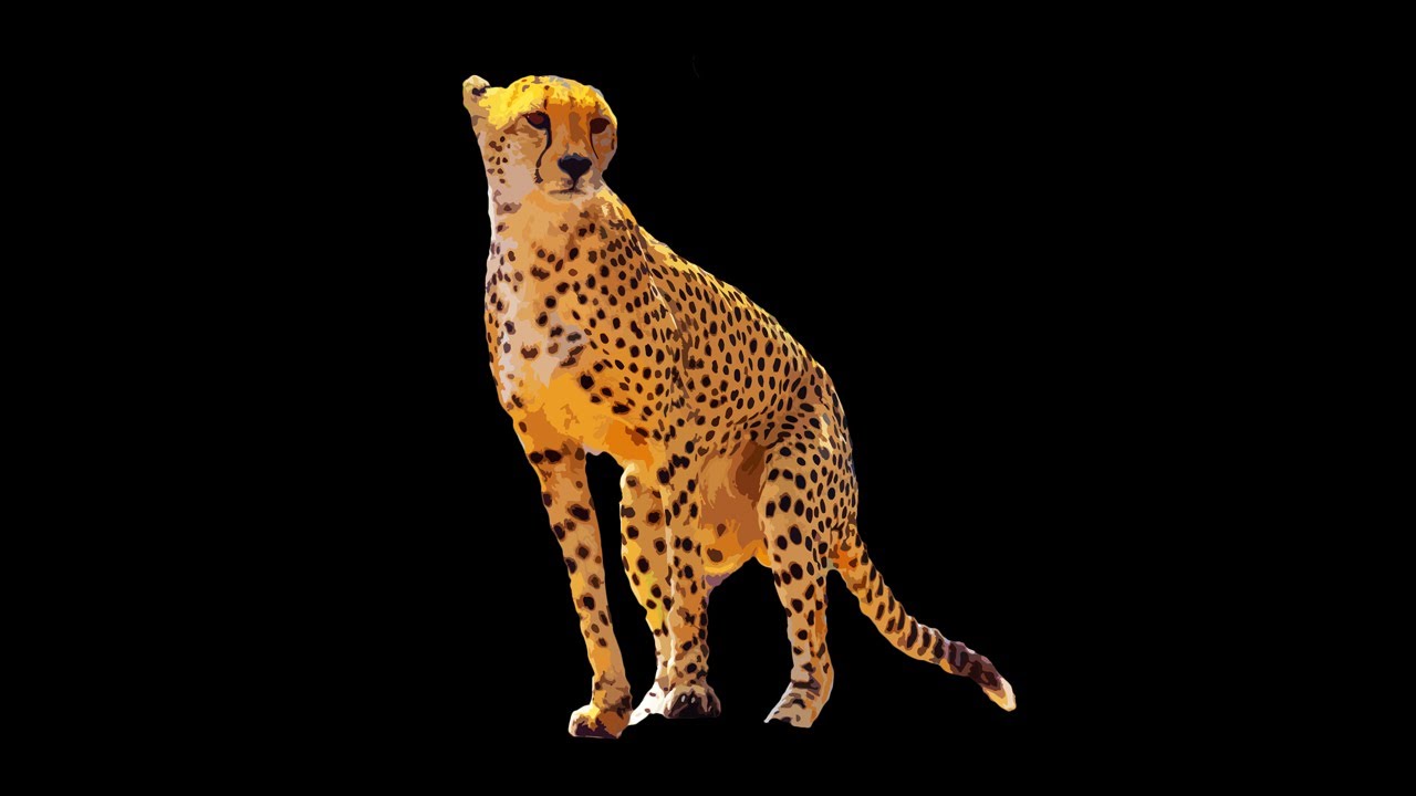 [FREE] African Type Beat 'Cheetah' - 2021