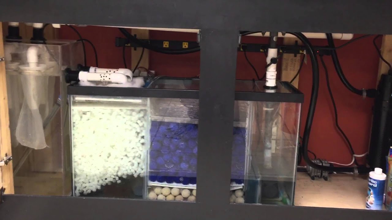 k1 media sump