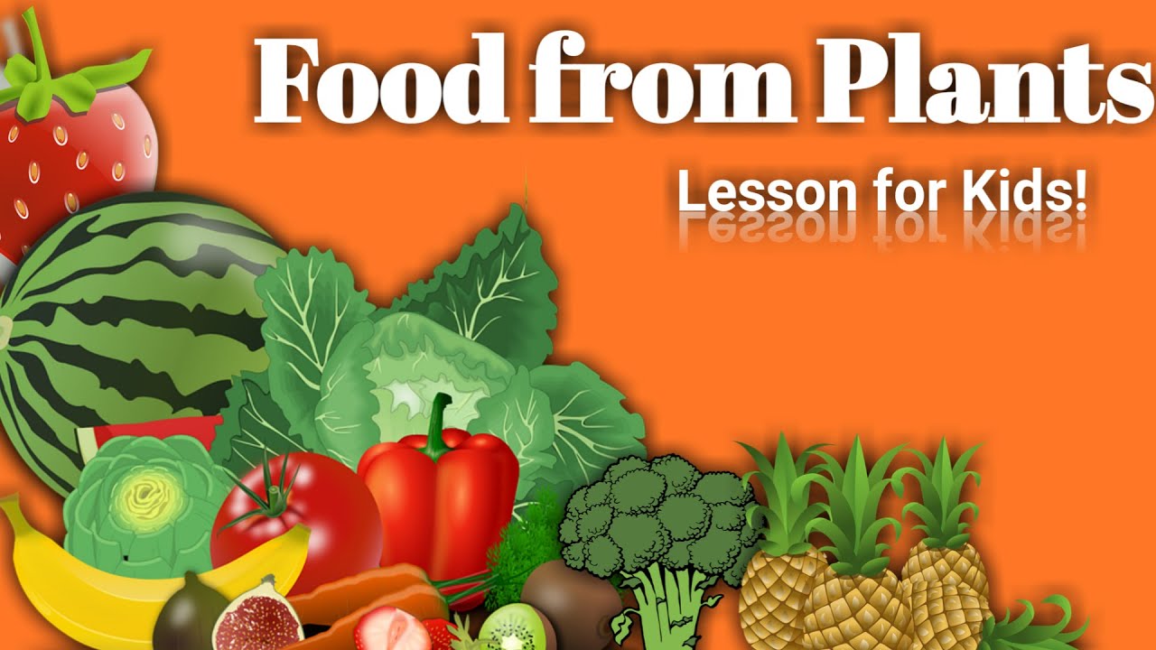 Foods from plants for kids| Foods that we get from plants | Plants give us food | Science for kids