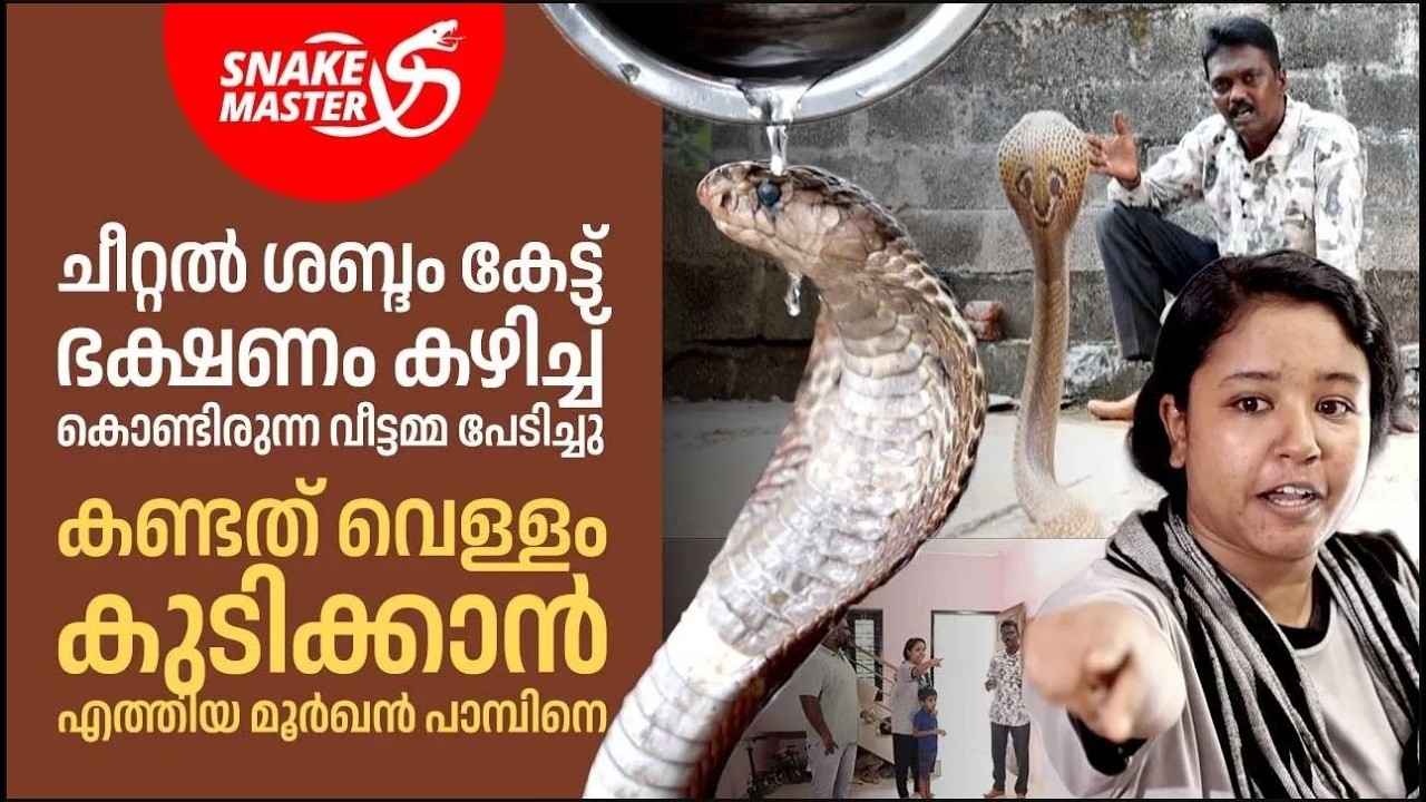 EP 34 | കൊടുത്ത വെള്ളം മുഴുവൻ മൂർഖൻ പാമ്പ് കുടിച്ചു | Cobra Rescue | Snakemaster | Vava Suresh