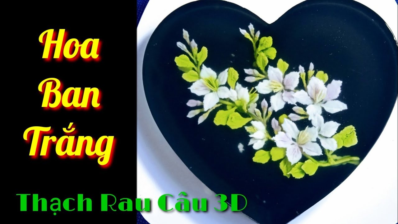 Thạch Rau Câu 3D - Vẽ Hoa Ban Trắng Bằng Kim Y Tế G18