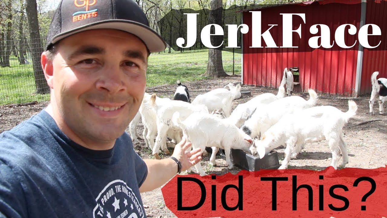 Maybe JerkFace Should Stay! He Produces Some Fast Growing Kids!