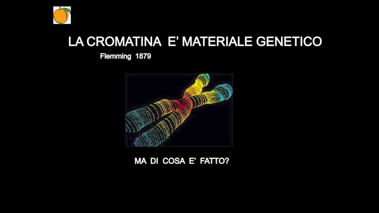 COS'E' IL FATTORE TRASFORMANTE?