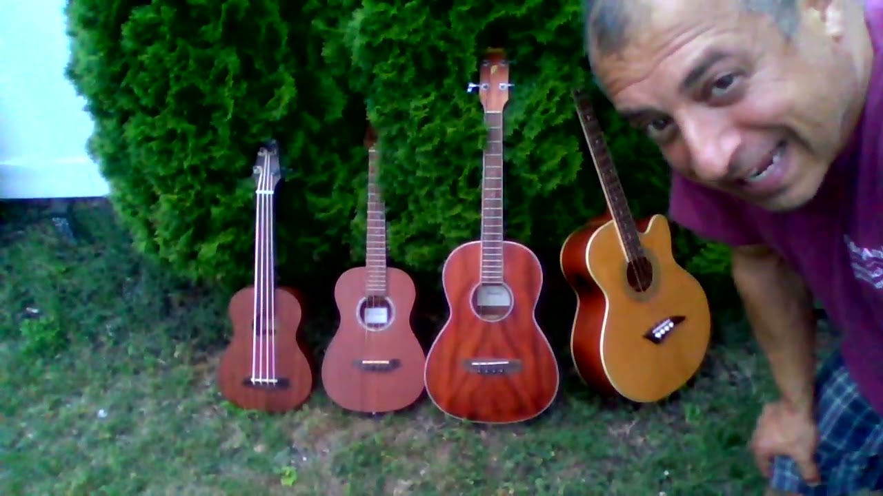Fun with Acoustic Bass Guitars