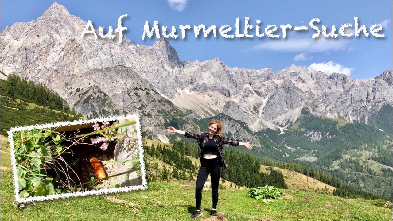 ÖSTERREICH–SALZBURGERLAND | Filzmoos Wanderung zur Murmeltier-Wiese