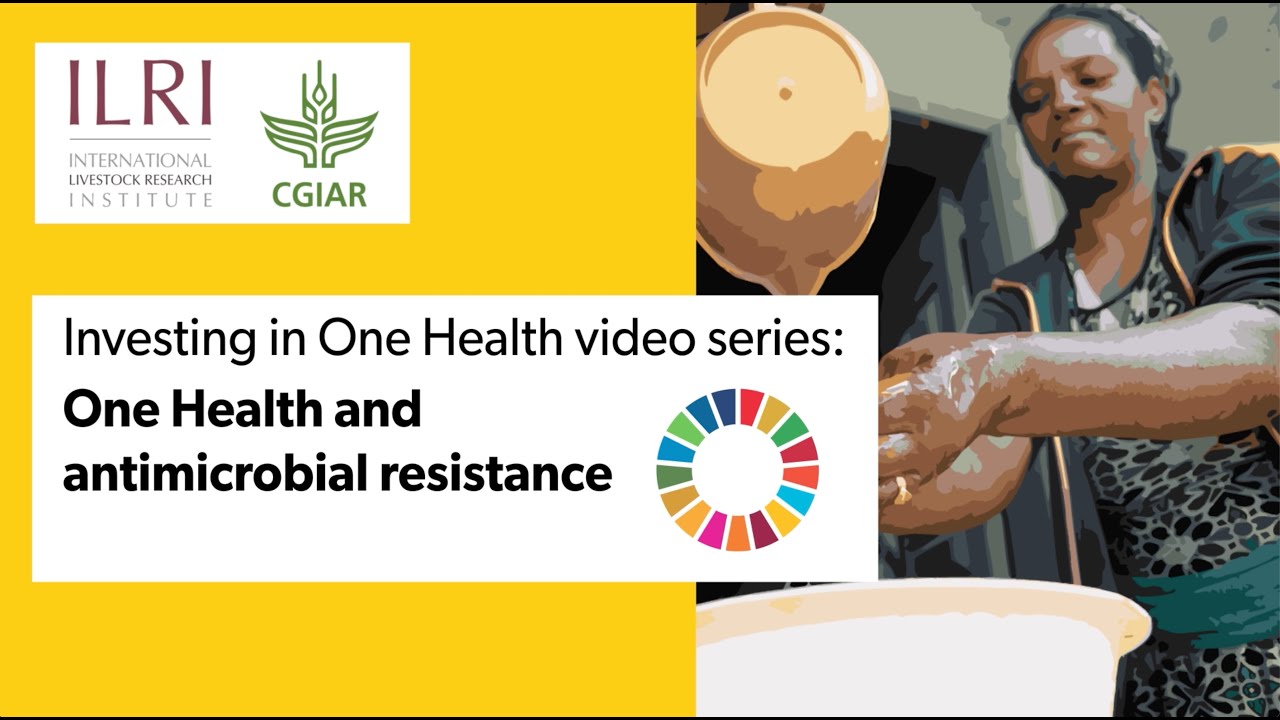 One Health and antimicrobial resistance