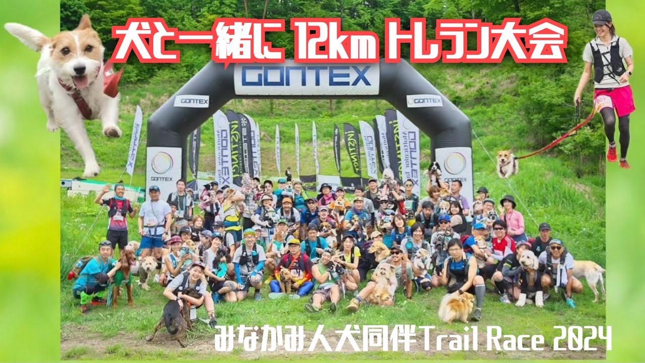 犬と出られるトレラン大会 12km みなかみ人犬同伴TrailRace2024 ジャックラッセルテリア / Trail running race with dog in Japan