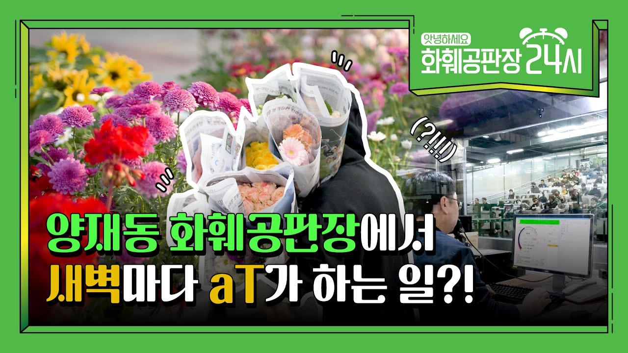 🌹양재동 화훼공판장에서 새벽마다 aT가 하는 일?! ｜[앗녕하세요] EP1. 화훼공판장 24시