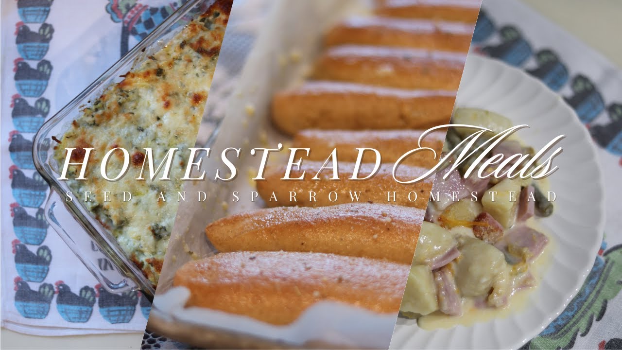 9 Recipes for Meal Inspiration 