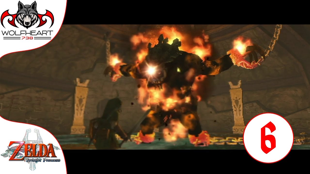 THIS GUY IS ON FIRE! - Legend of Zelda: Twilight Princess #6