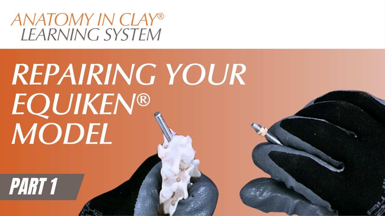 Repairing Your EQUIKEN® Model PART 1