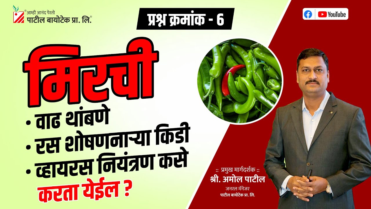 प्रश्न - 06 -मिरची वाढ थांबणे, रस शोषणाऱ्या किडी, व्हायरस नियंत्रण कसे करता येईल