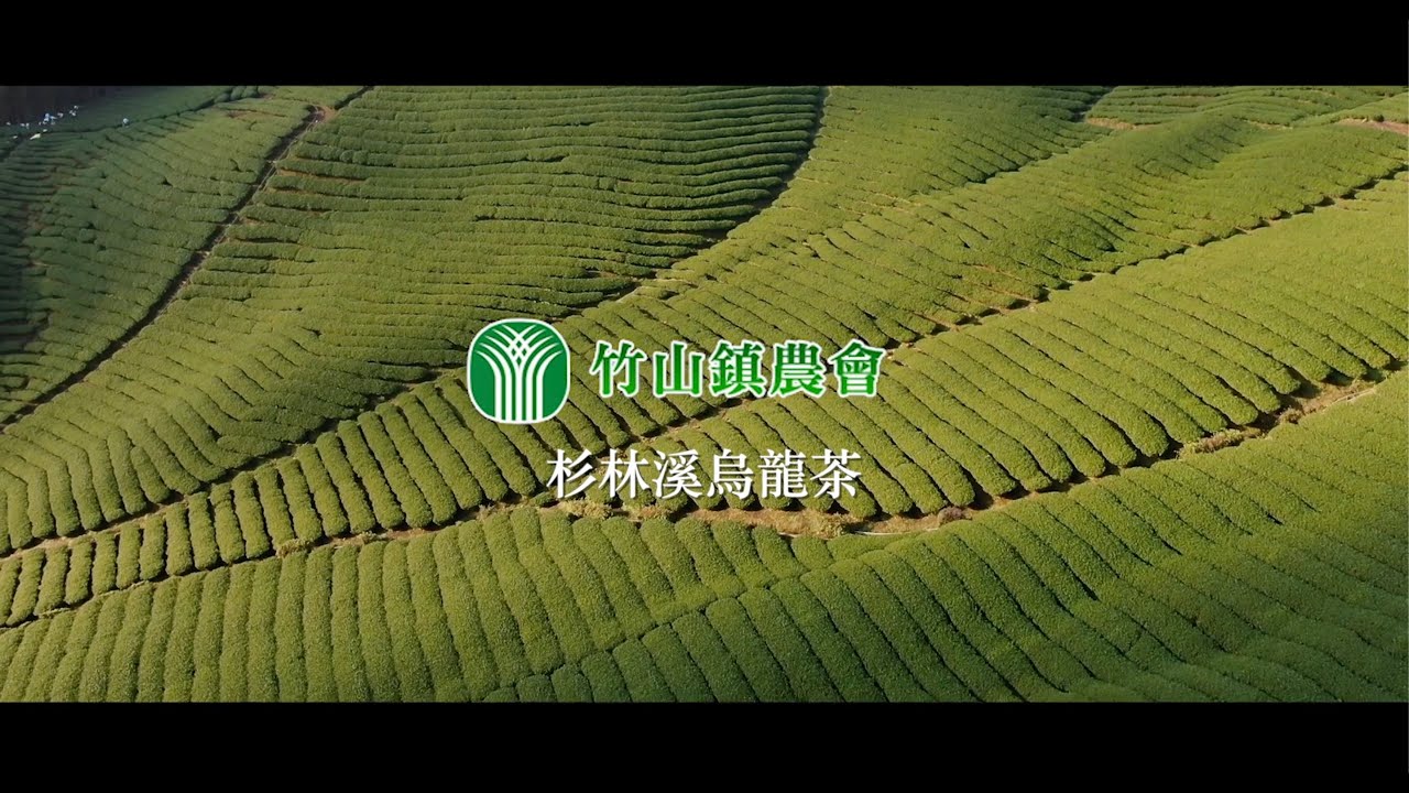 《形象廣告》南投縣竹山鎮農會「杉林溪烏龍茶」採茶 製茶過程紀錄 ｜ 八卦茶園 龍鳳峽茶園 三層坪 番仔田 竹林 空拍攝影 竹山茶園 春茶 冬茶