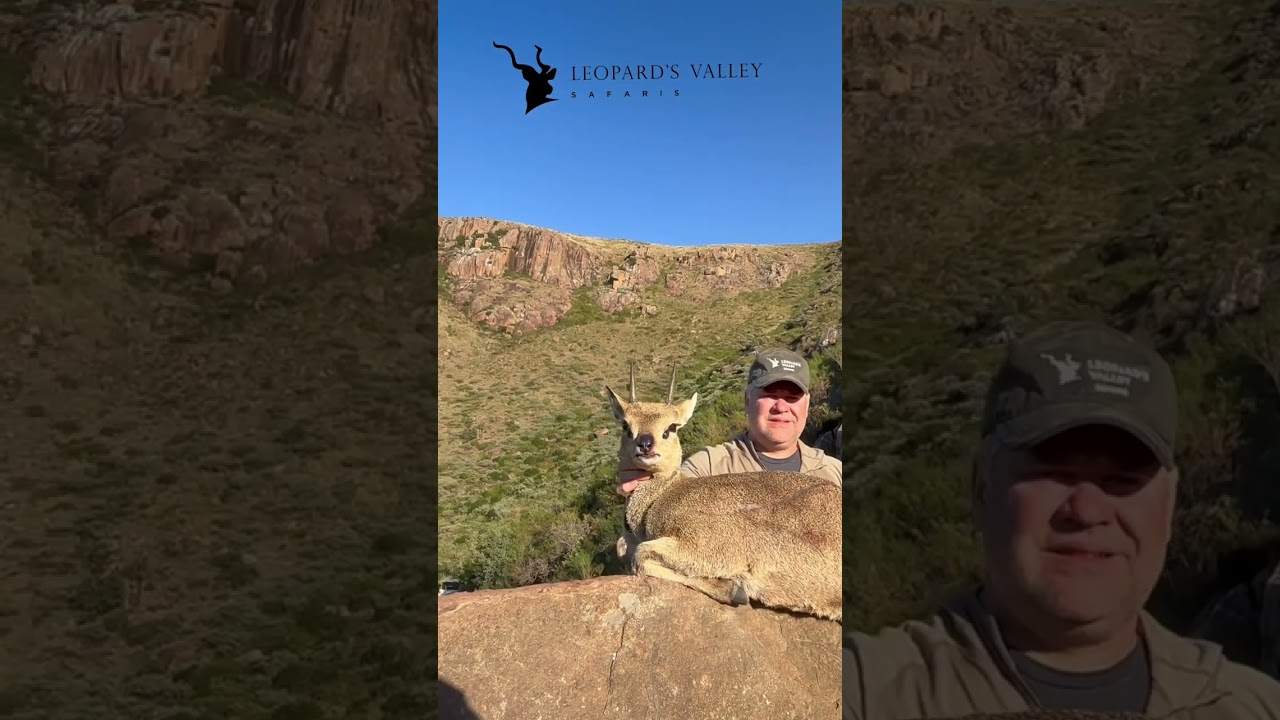 What a MONSTER of a ram #africa #hunting #africanadventure #mountains #mountainhunting #klipspringer
