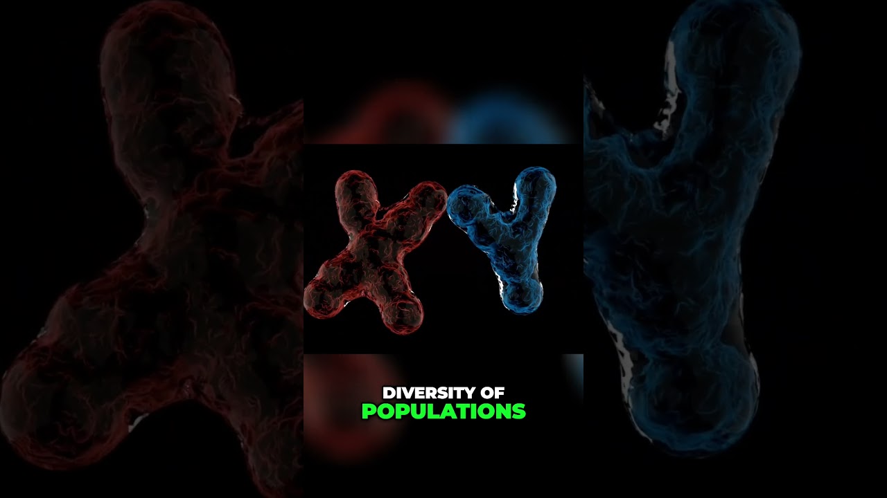 Genetic Diversity: Unraveling the Secrets of Chromosomes #dnasecrets  #studybiology