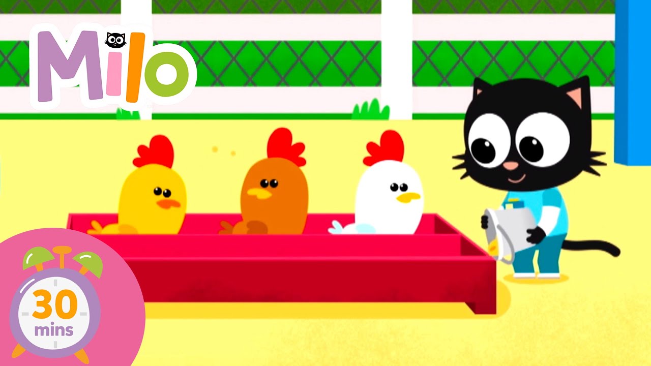 Milo i zwierzęta | Oficjalny kanał