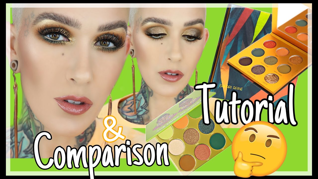 NEW COLOURED RAINE SAFARI RAINE PALETTE: Overview, Comparison & Tutorial
