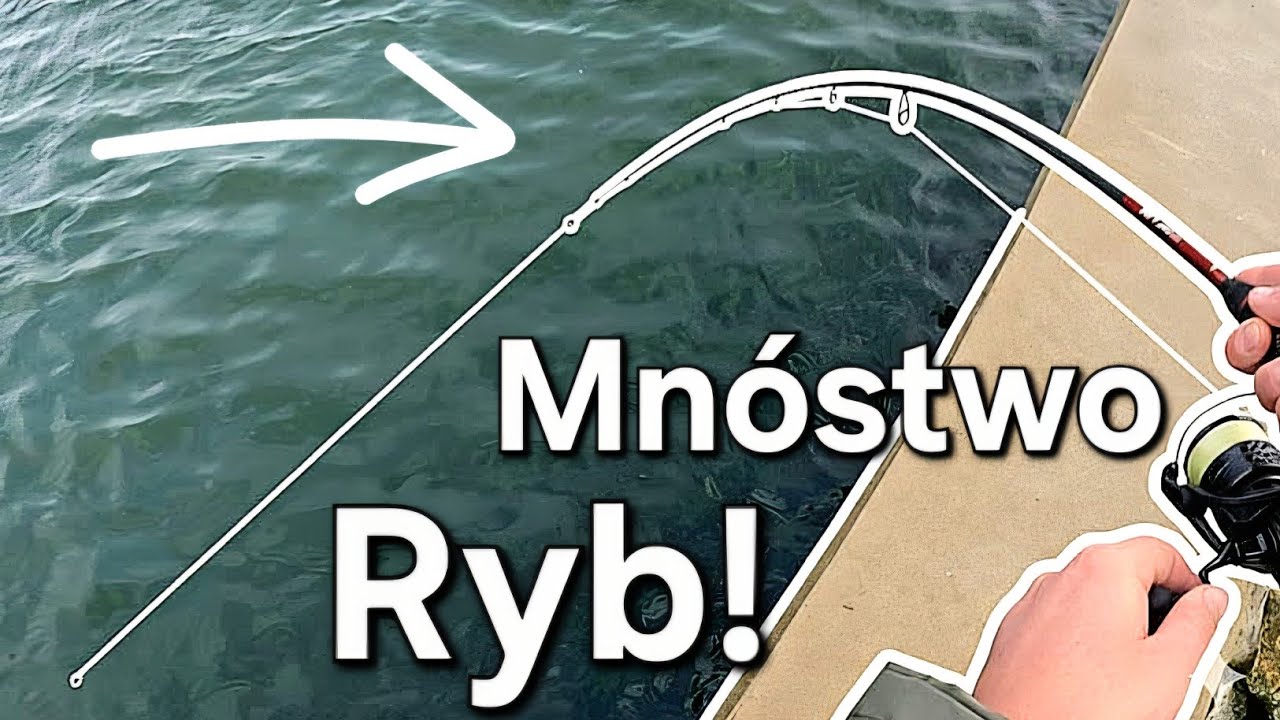 Kanał SZALEJE! Miejsce Pełne Ryb! Kłusownik i Uratowana Ryba! Wędkarstwo spinningowe na PZW!