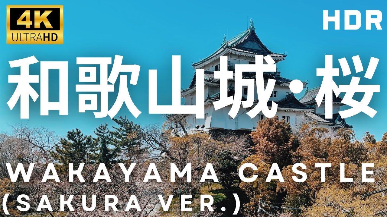 🌸Замок Вакаяма во время сезона цветения сакуры | 4K HDR